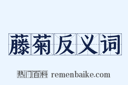 藤菊反义词是什么意思的图片